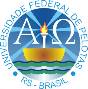 RS: Universidade Federal de Pelotas (UFPel) abre as inscrições do concurso público para contratação de professor substituto de Pedagogia do Teatro